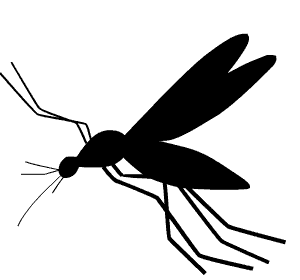HOW MOSQUITOES FLY